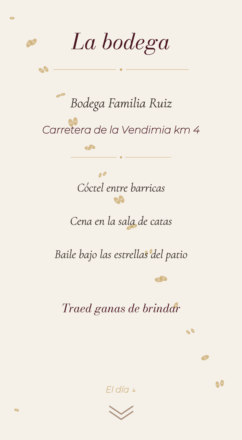 Boda — Viñedo — La bodega