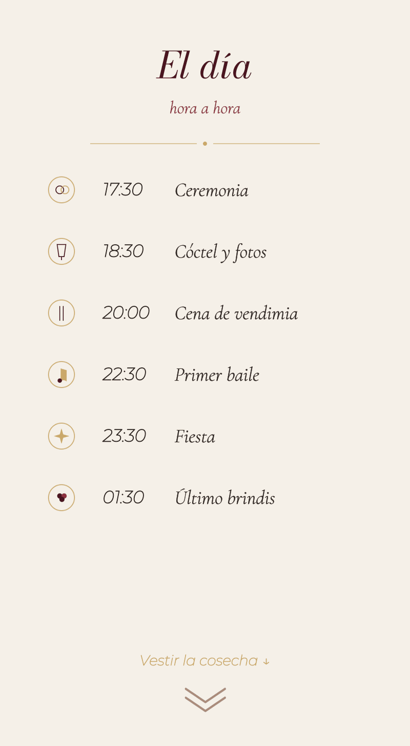 Boda — Viñedo — El día