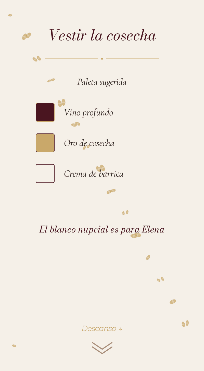 Boda — Viñedo — Vestir la cosecha