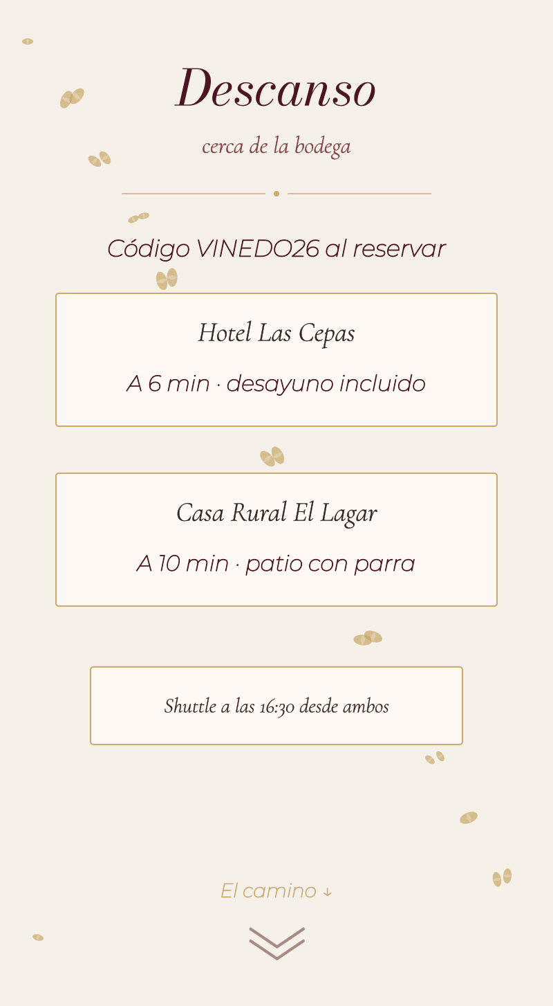 Boda — Viñedo — Descanso