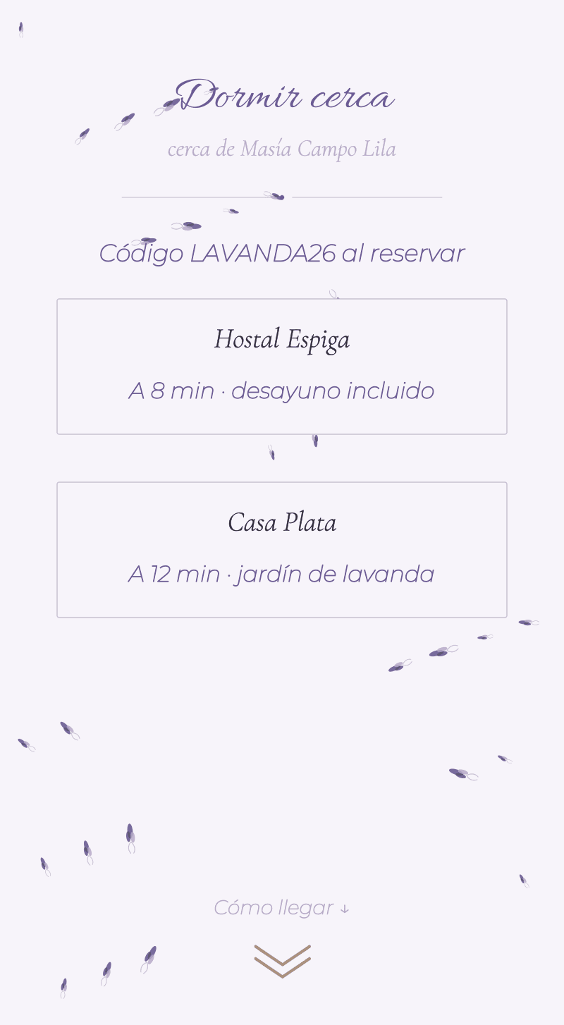 Boda — Lavanda — Dormir cerca