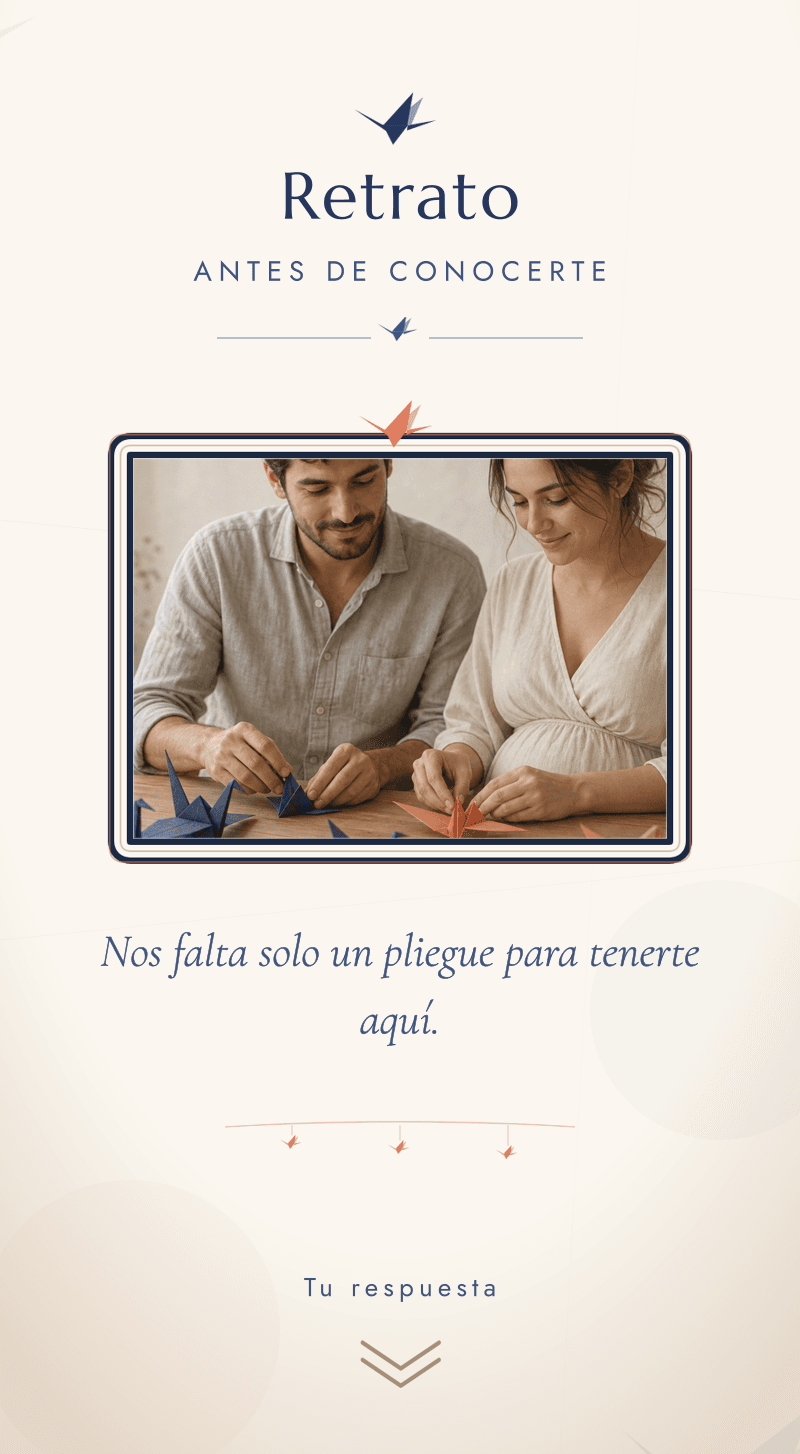 Baby Shower — Grullas de Papel — Retrato