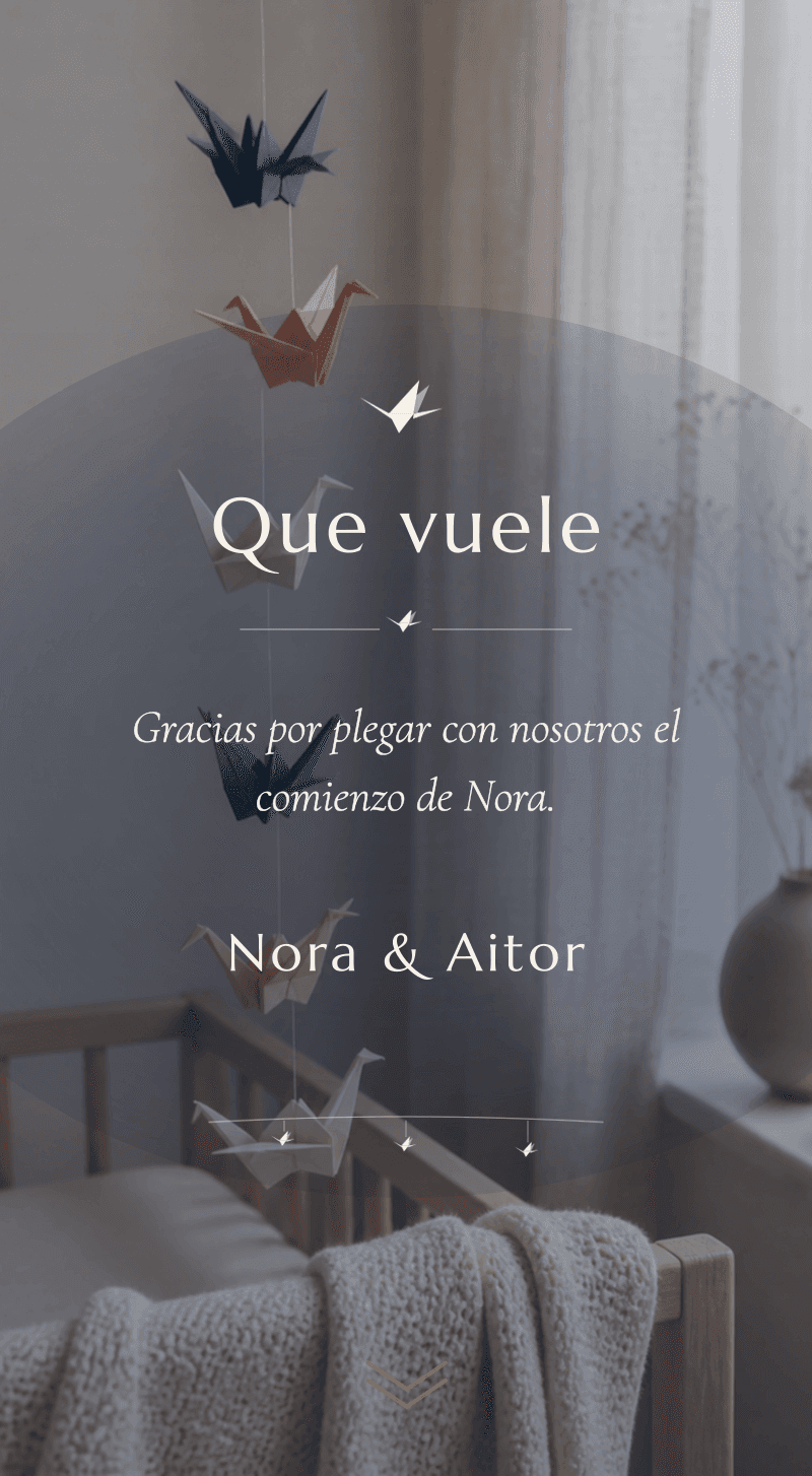 Baby Shower — Grullas de Papel — Que vuele