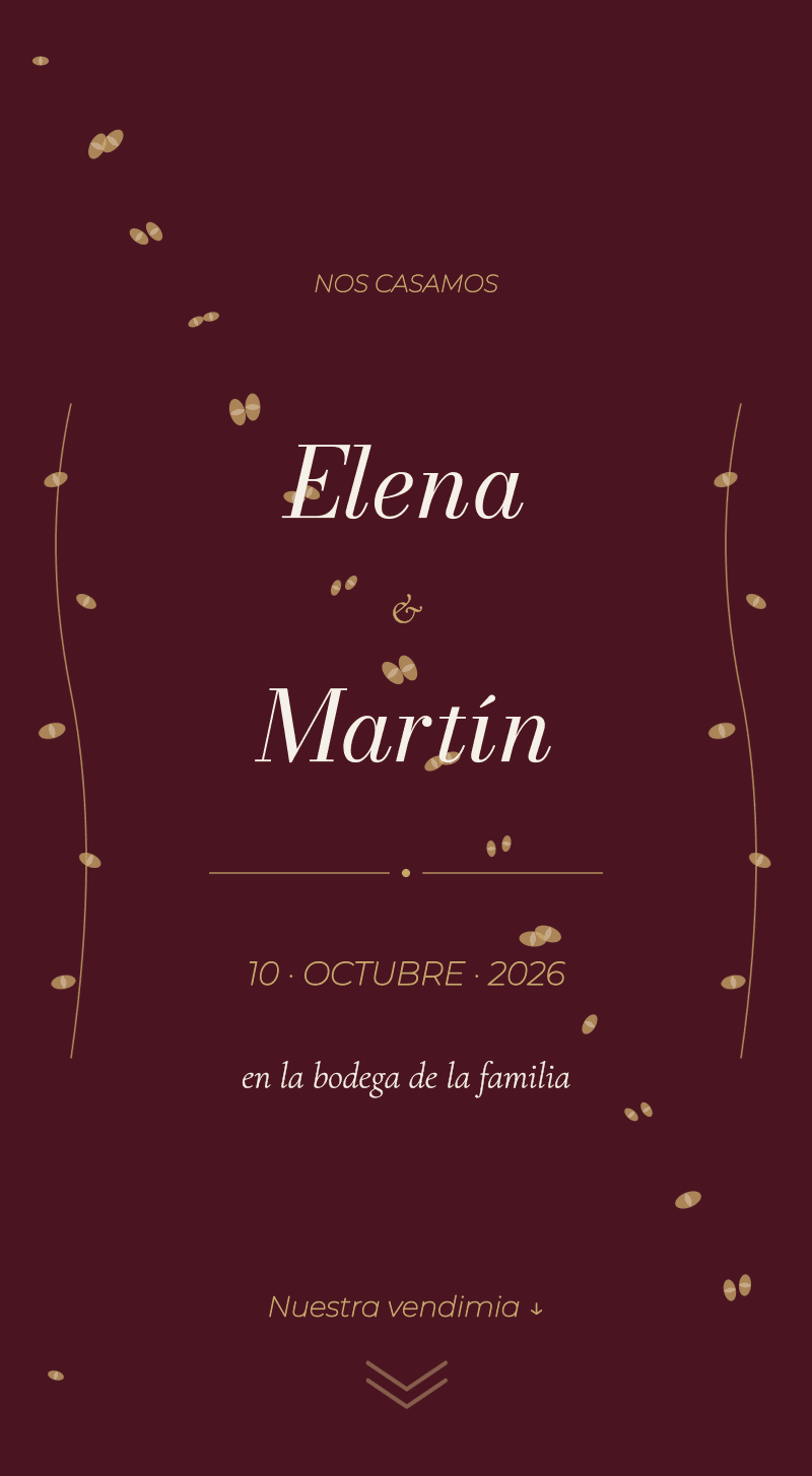 Boda — Viñedo